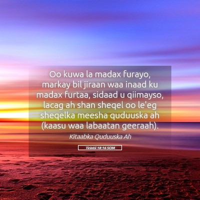 Picture 05 - Tirintii 18:16 SOM - Oo kuwa la madax furayo, markay bil jiraan waa - Bible Verse Picture