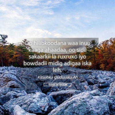 Picture 05 - Tirintii 18:18 SOM - Oo hilibkoodana waa inuu kaaga ahaadaa, oo sidii - Bible Verse Picture