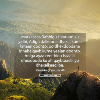 Picture 05 - Tirintii 18:20 SOM - Markaasaa Rabbigu Haaruun ku yidhi, Adigu - Bible Verse Picture