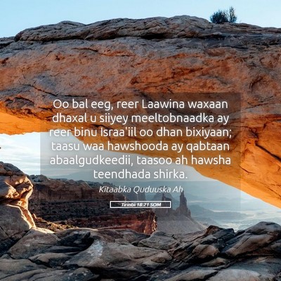 Picture 05 - Tirintii 18:21 SOM - Oo bal eeg, reer Laawina waxaan dhaxal u siiyey - Bible Verse Picture