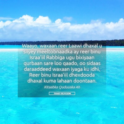 Picture 05 - Tirintii 18:24 SOM - Waayo, waxaan reer Laawi dhaxal u siiyey - Bible Verse Picture