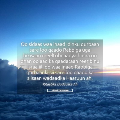 Picture 05 - Tirintii 18:28 SOM - Oo sidaas waa inaad idinku qurbaan sare loo qaado - Bible Verse Picture