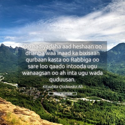 Picture 05 - Tirintii 18:29 SOM - Oo hadiyadaha aad heshaan oo dhanba waa inaad ka - Bible Verse Picture