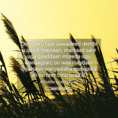 Picture 05 - Tirintii 18:32 SOM - Oo idinku taas aawadeed dembi u qaadi maysaan, - Bible Verse Picture
