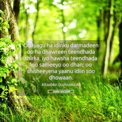 Picture 05 - Tirintii 18:4 SOM - Oo iyagu ha idinku darmadeen oo ha dhawreen - Bible Verse Picture