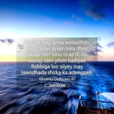 Picture 05 - Tirintii 18:6 SOM - Oo bal eeg, anna walaalihiin reer Laawi ayaan - Bible Verse Picture