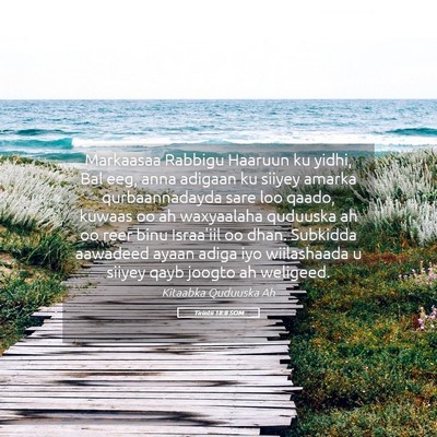 Picture 05 - Tirintii 18:8 SOM - Markaasaa Rabbigu Haaruun ku yidhi, Bal eeg, anna - Bible Verse Picture