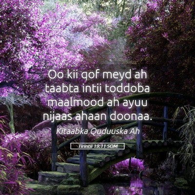 Picture 05 - Tirintii 19:11 SOM - Oo kii qof meyd ah taabta intii toddoba maalmood - Bible Verse Picture