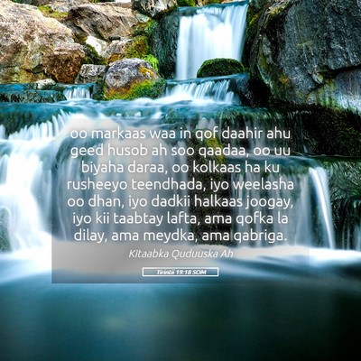 Picture 05 - Tirintii 19:18 SOM - oo markaas waa in qof daahir ahu geed husob ah - Bible Verse Picture