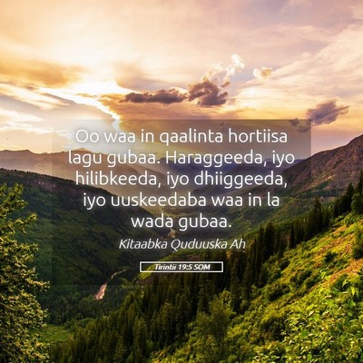 Picture 05 - Tirintii 19:5 SOM - Oo waa in qaalinta hortiisa lagu gubaa. - Bible Verse Picture