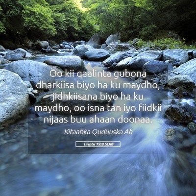 Picture 05 - Tirintii 19:8 SOM - Oo kii qaalinta gubona dharkiisa biyo ha ku - Bible Verse Picture