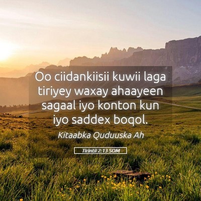 Picture 05 - Tirintii 2:13 SOM - Oo ciidankiisii kuwii laga tiriyey waxay ahaayeen - Bible Verse Picture