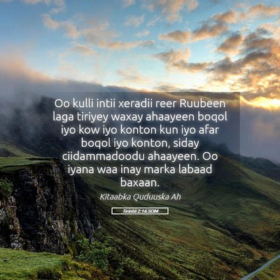 Picture 05 - Tirintii 2:16 SOM - Oo kulli intii xeradii reer Ruubeen laga tiriyey - Bible Verse Picture