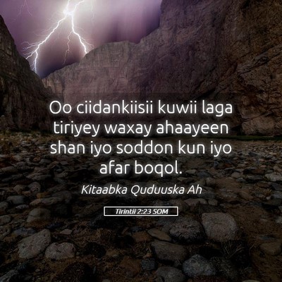 Picture 05 - Tirintii 2:23 SOM - Oo ciidankiisii kuwii laga tiriyey waxay ahaayeen - Bible Verse Picture