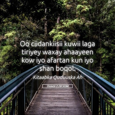 Picture 05 - Tirintii 2:28 SOM - Oo ciidankiisii kuwii laga tiriyey waxay ahaayeen - Bible Verse Picture
