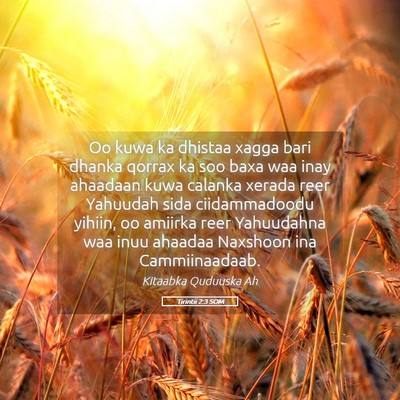 Picture 05 - Tirintii 2:3 SOM - Oo kuwa ka dhistaa xagga bari dhanka qorrax ka - Bible Verse Picture
