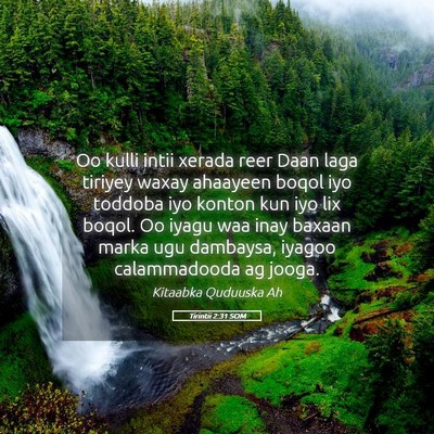Picture 05 - Tirintii 2:31 SOM - Oo kulli intii xerada reer Daan laga tiriyey - Bible Verse Picture
