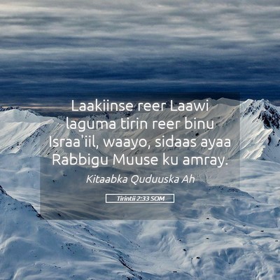 Picture 05 - Tirintii 2:33 SOM - Laakiinse reer Laawi laguma tirin reer binu - Bible Verse Picture