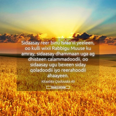 Picture 05 - Tirintii 2:34 SOM - Sidaasay reer binu Israa'iil yeeleen, oo kulli - Bible Verse Picture