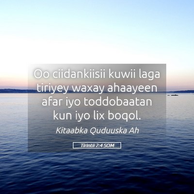 Picture 05 - Tirintii 2:4 SOM - Oo ciidankiisii kuwii laga tiriyey waxay ahaayeen - Bible Verse Picture