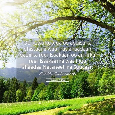 Picture 05 - Tirintii 2:5 SOM - Oo kuwa ku xiga oo agtiisa ka dhistaana waa inay - Bible Verse Picture