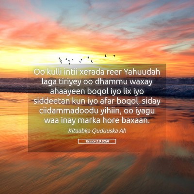Picture 05 - Tirintii 2:9 SOM - Oo kulli intii xerada reer Yahuudah laga tiriyey - Bible Verse Picture