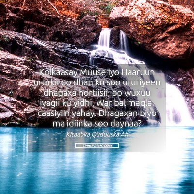 Picture 05 - Tirintii 20:10 SOM - Kolkaasay Muuse iyo Haaruun ururkii oo dhan ku - Bible Verse Picture