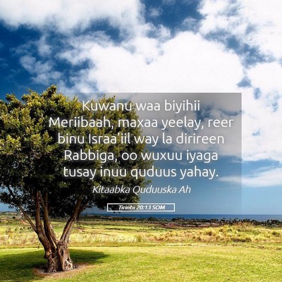 Picture 05 - Tirintii 20:13 SOM - Kuwanu waa biyihii Meriibaah, maxaa yeelay, reer - Bible Verse Picture