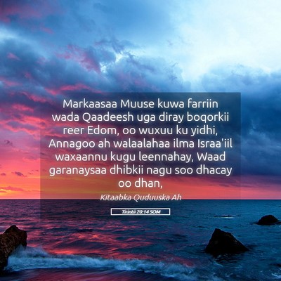 Picture 05 - Tirintii 20:14 SOM - Markaasaa Muuse kuwa farriin wada Qaadeesh uga - Bible Verse Picture
