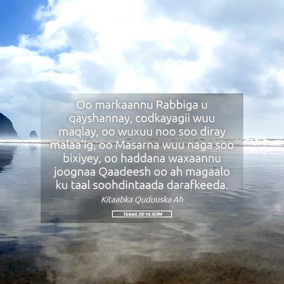 Picture 05 - Tirintii 20:16 SOM - Oo markaannu Rabbiga u qayshannay, codkayagii wuu - Bible Verse Picture
