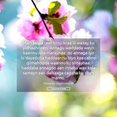 Picture 05 - Tirintii 20:19 SOM - Markaasaa reer binu Israa'iil waxay ku - Bible Verse Picture