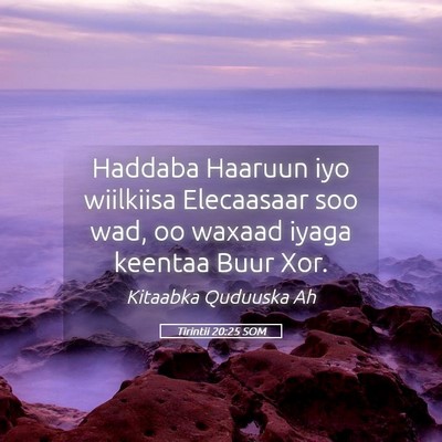 Picture 05 - Tirintii 20:25 SOM - Haddaba Haaruun iyo wiilkiisa Elecaasaar soo wad, - Bible Verse Picture