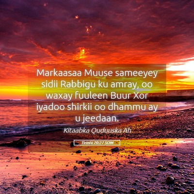 Picture 05 - Tirintii 20:27 SOM - Markaasaa Muuse sameeyey sidii Rabbigu ku amray, - Bible Verse Picture