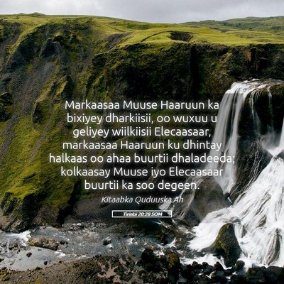 Picture 05 - Tirintii 20:28 SOM - Markaasaa Muuse Haaruun ka bixiyey dharkiisii, oo - Bible Verse Picture