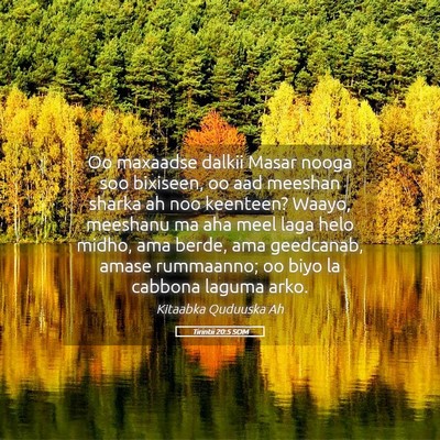 Picture 05 - Tirintii 20:5 SOM - Oo maxaadse dalkii Masar nooga soo bixiseen, oo - Bible Verse Picture
