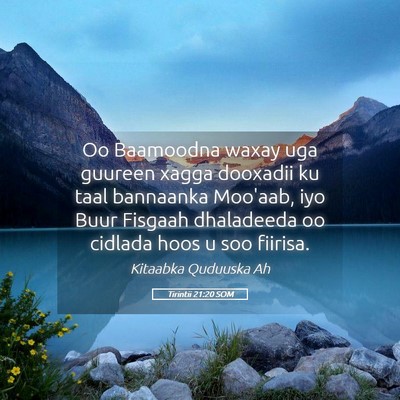 Picture 05 - Tirintii 21:20 SOM - Oo Baamoodna waxay uga guureen xagga dooxadii ku - Bible Verse Picture