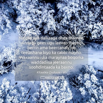 Picture 05 - Tirintii 21:22 SOM - Na daa aan dalkaaga dhex marnee. Annagu gees ugu - Bible Verse Picture