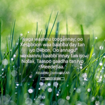 Picture 05 - Tirintii 21:30 SOM - Iyaga waannu toogannay; oo Xeshboon waa - Bible Verse Picture