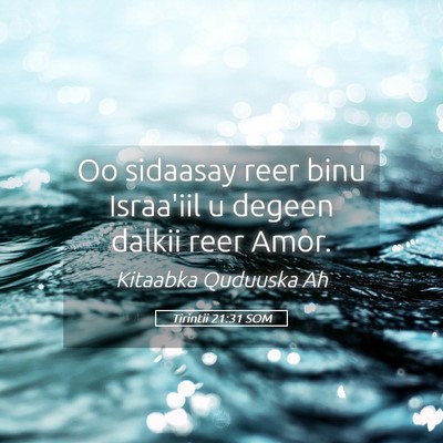 Picture 05 - Tirintii 21:31 SOM - Oo sidaasay reer binu Israa'iil u degeen dalkii - Bible Verse Picture