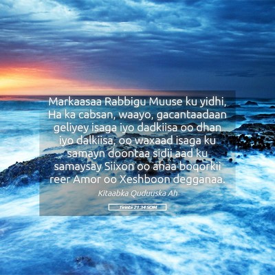 Picture 05 - Tirintii 21:34 SOM - Markaasaa Rabbigu Muuse ku yidhi, Ha ka cabsan, - Bible Verse Picture