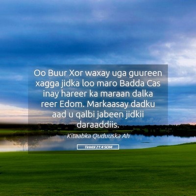 Picture 05 - Tirintii 21:4 SOM - Oo Buur Xor waxay uga guureen xagga jidka loo - Bible Verse Picture