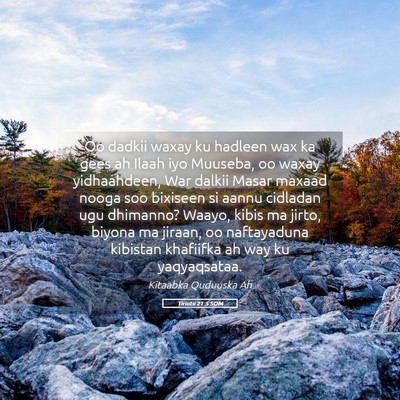 Picture 05 - Tirintii 21:5 SOM - Oo dadkii waxay ku hadleen wax ka gees ah Ilaah - Bible Verse Picture