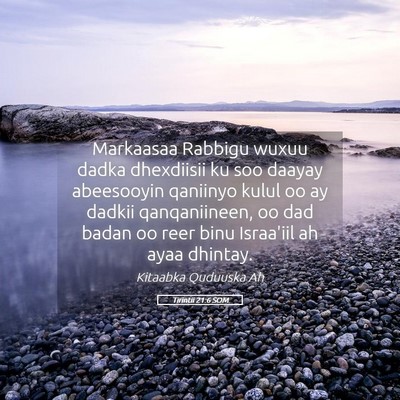Picture 05 - Tirintii 21:6 SOM - Markaasaa Rabbigu wuxuu dadka dhexdiisii ku soo - Bible Verse Picture