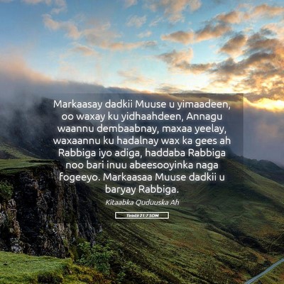 Picture 05 - Tirintii 21:7 SOM - Markaasay dadkii Muuse u yimaadeen, oo waxay ku - Bible Verse Picture