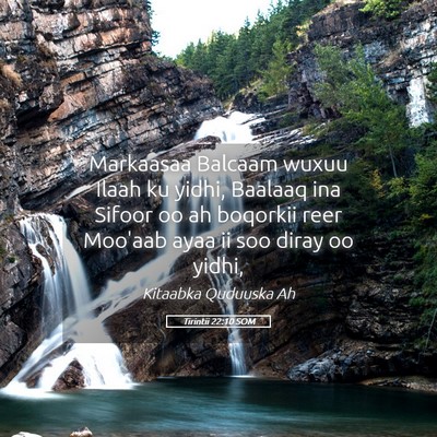 Picture 05 - Tirintii 22:10 SOM - Markaasaa Balcaam wuxuu Ilaah ku yidhi, Baalaaq - Bible Verse Picture