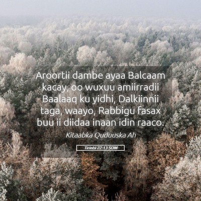 Picture 05 - Tirintii 22:13 SOM - Aroortii dambe ayaa Balcaam kacay, oo wuxuu - Bible Verse Picture