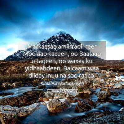 Picture 05 - Tirintii 22:14 SOM - Markaasaa amiirradii reer Moo'aab kaceen, oo - Bible Verse Picture
