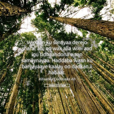 Picture 05 - Tirintii 22:17 SOM - Waxaan ku siinayaa derejo sharaf ah, oo wax alla - Bible Verse Picture