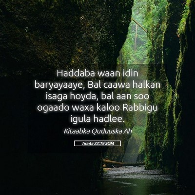 Picture 05 - Tirintii 22:19 SOM - Haddaba waan idin baryayaaye, Bal caawa halkan - Bible Verse Picture