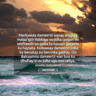 Picture 05 - Tirintii 22:23 SOM - Markaasaa dameertii waxay aragtay malaa'igtii - Bible Verse Picture